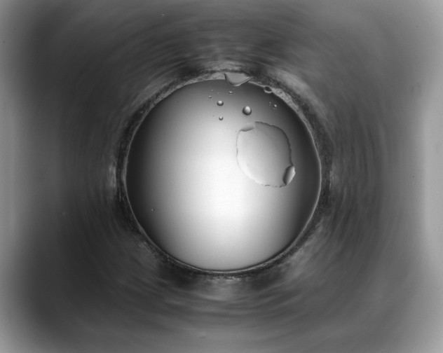 X0000088681209200706071419