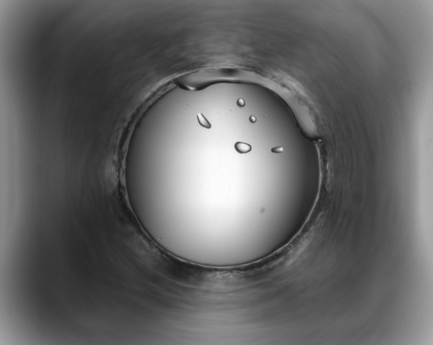 X0000088681212200706071419