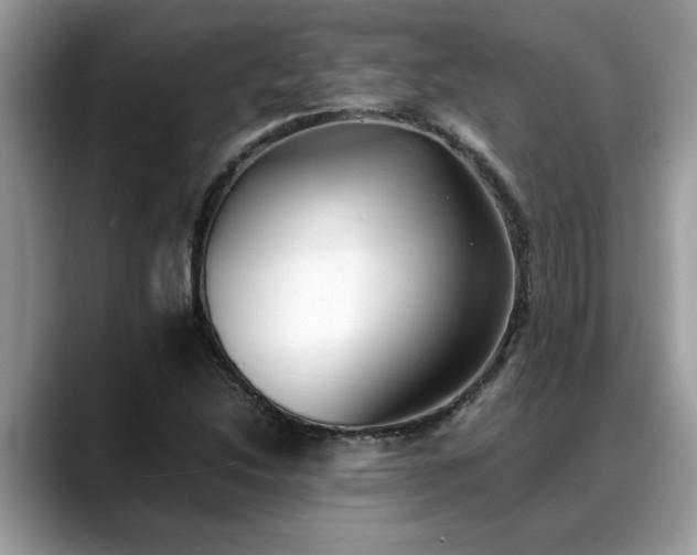 X0000088681214200706071419