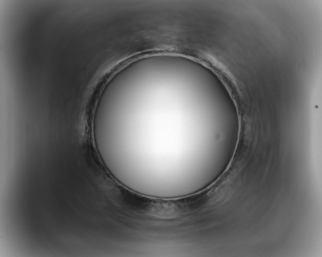 X0000088681215200706071419