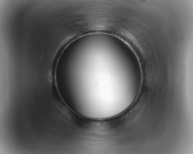 X0000088681218200706071419