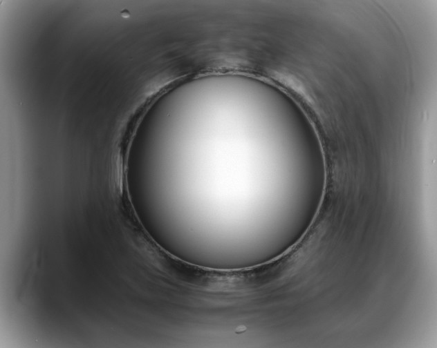 X0000088681219200706071419