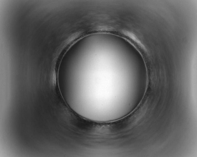 X0000088681221200706071419