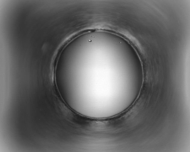X0000088681224200706071419