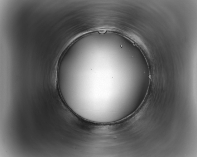 X0000088681228200706071419