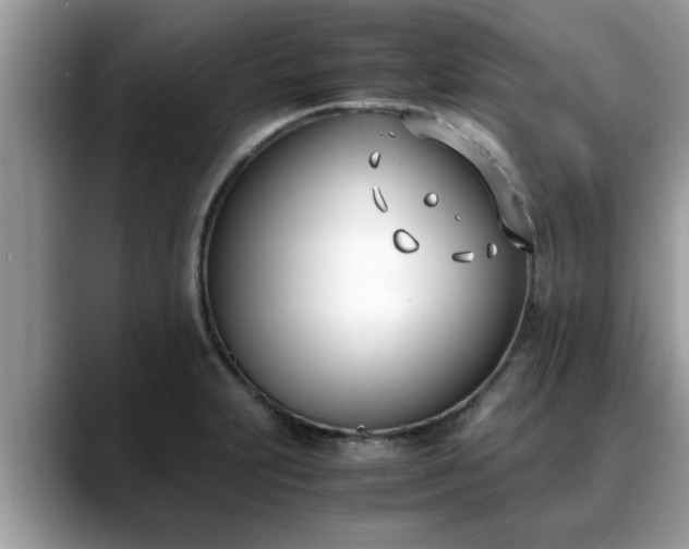 X0000088681231200706071419