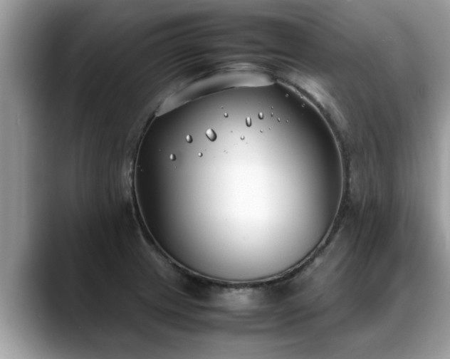 X0000088681233200706071419