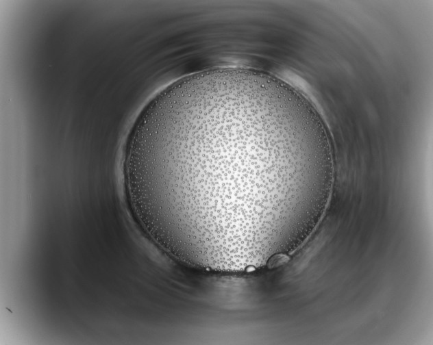 X0000088681235200706071420