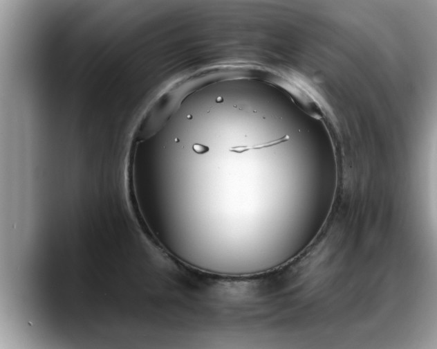 X0000088681237200706071420