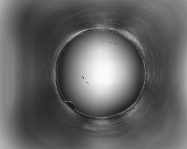 X0000088681239200706071420