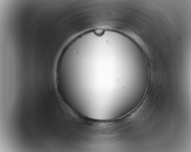 X0000088681240200706071420