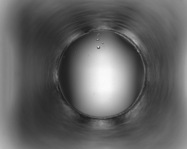 X0000088681241200706071420