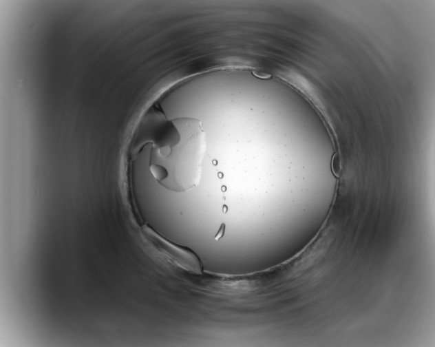 X0000088681243200706071420