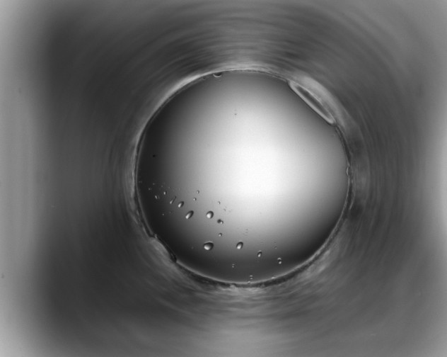 X0000088681244200706071420
