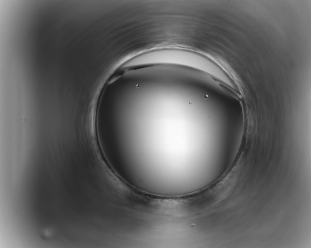 X0000088681246200706071420