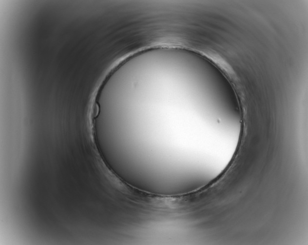 X0000088681248200706071420
