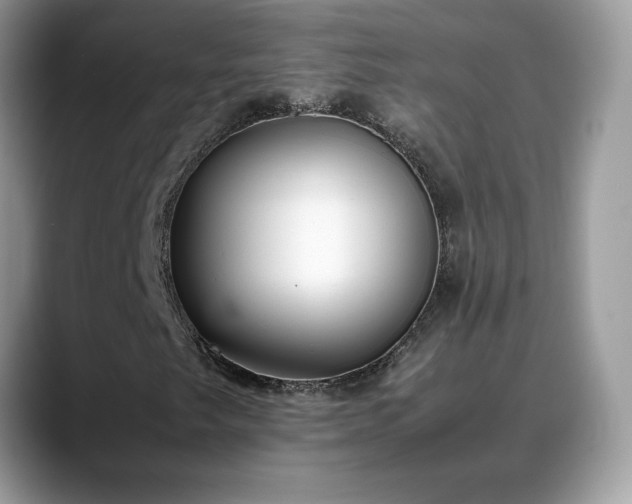 X0000088681249200706071419