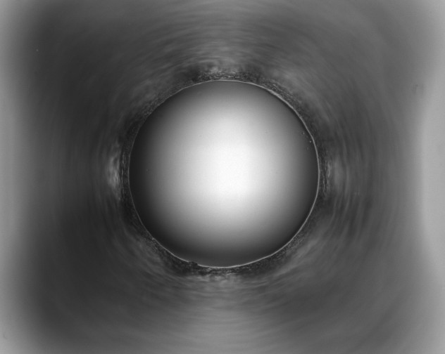 X0000088681250200706071419
