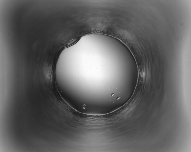 X0000088681252200706071419