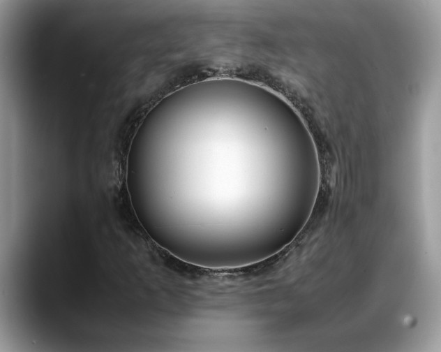 X0000088681253200706071419