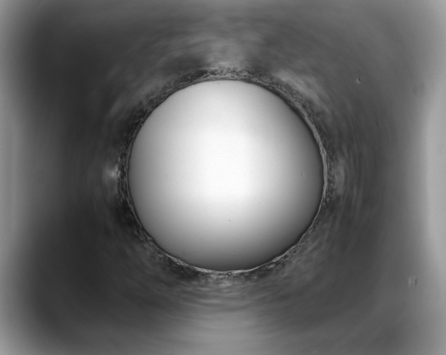 X0000088681254200706071419