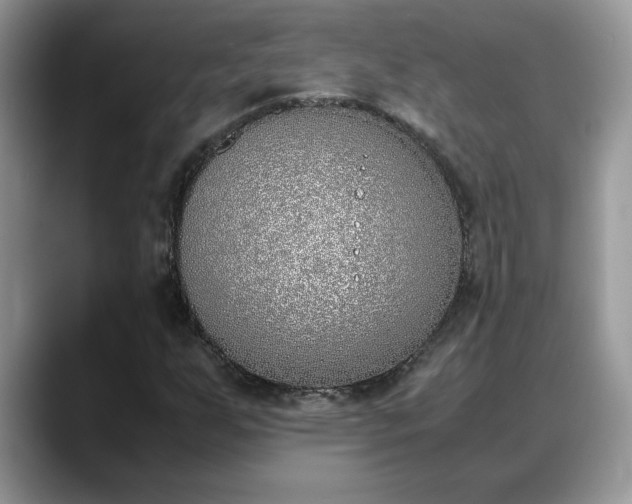 X0000088681255200706071419