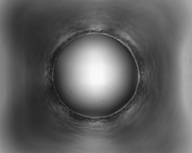 X0000088681256200706071419