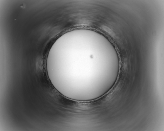 X0000088681258200706071419