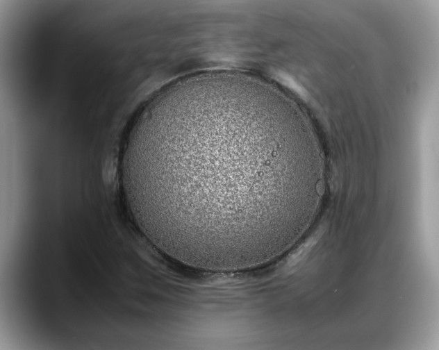 X0000088681259200706071419