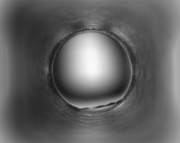 X0000088681261200706071419