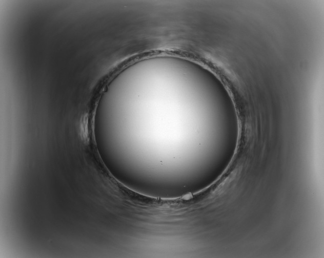 X0000088681262200706071419
