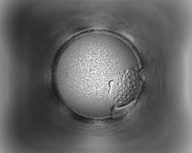 X0000088681263200706071419