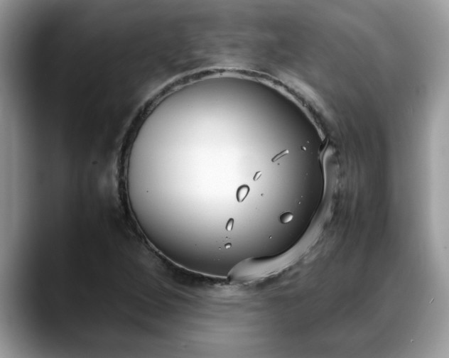X0000088681264200706071419