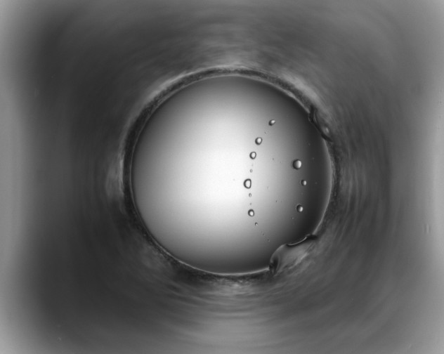 X0000088681270200706071419