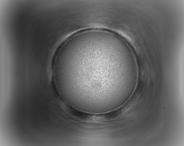 X0000088681271200706071419
