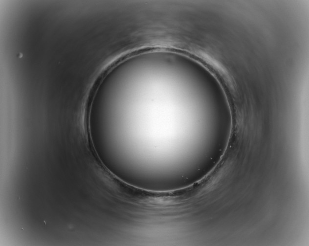 X0000088681272200706071419