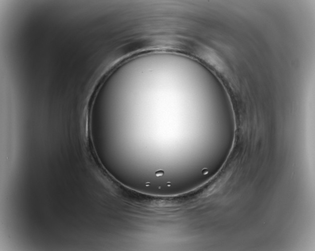 X0000088681275200706071419