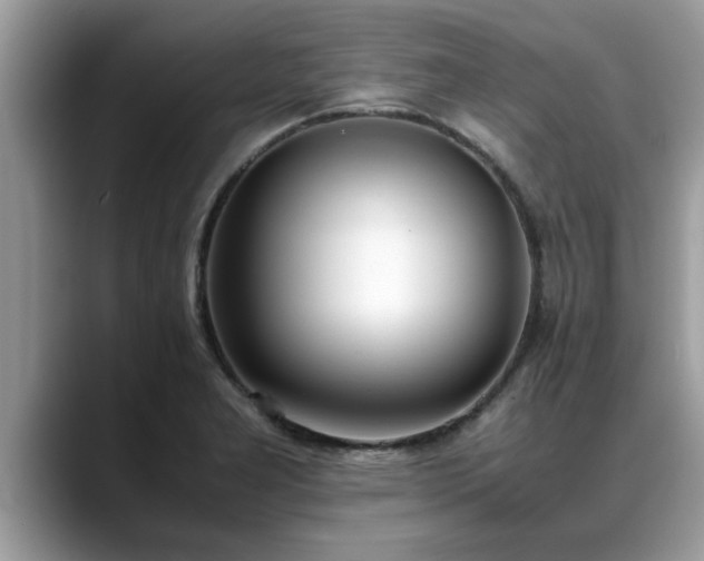X0000088681277200706071419