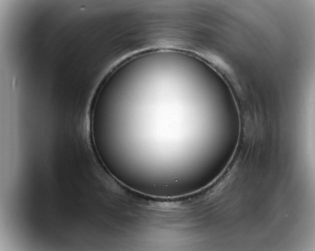 X0000088681280200706071419