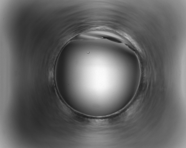 X0000088681281200706071419