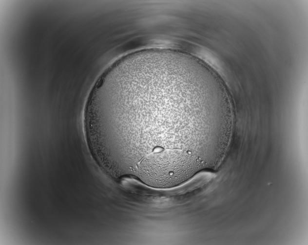 X0000088681283200706071419