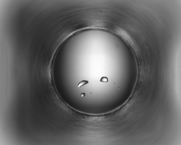 X0000088681284200706071419