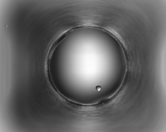 X0000088681285200706071419