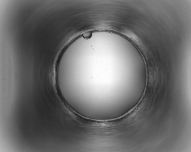 X0000088681286200706071419