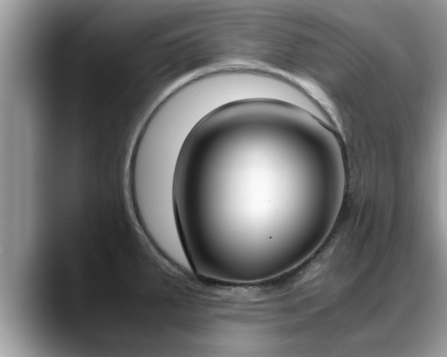 X0000088681287200706071419