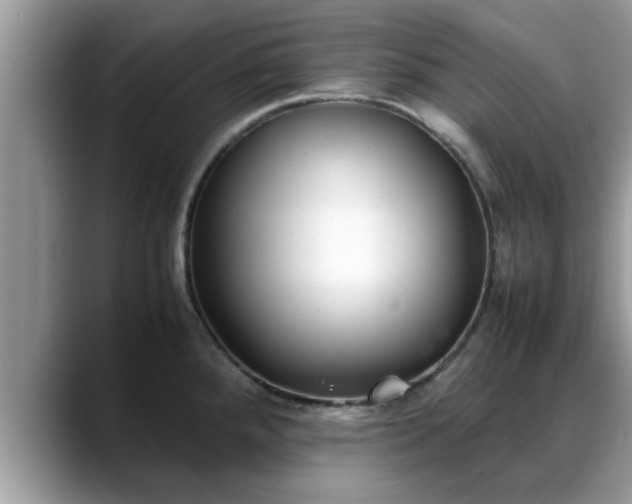 X0000088681288200706071419
