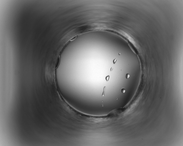 X0000088681289200706071419