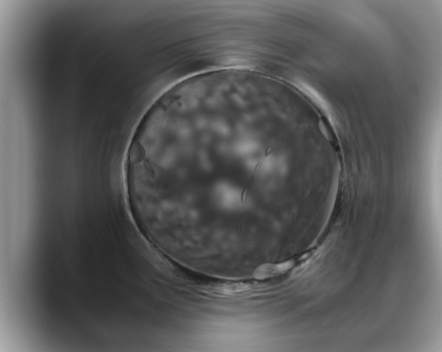 X0000088681291200706071419