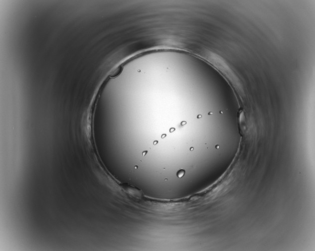 X0000088681292200706071418
