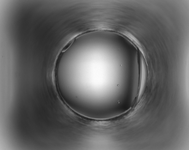 X0000088681293200706071418